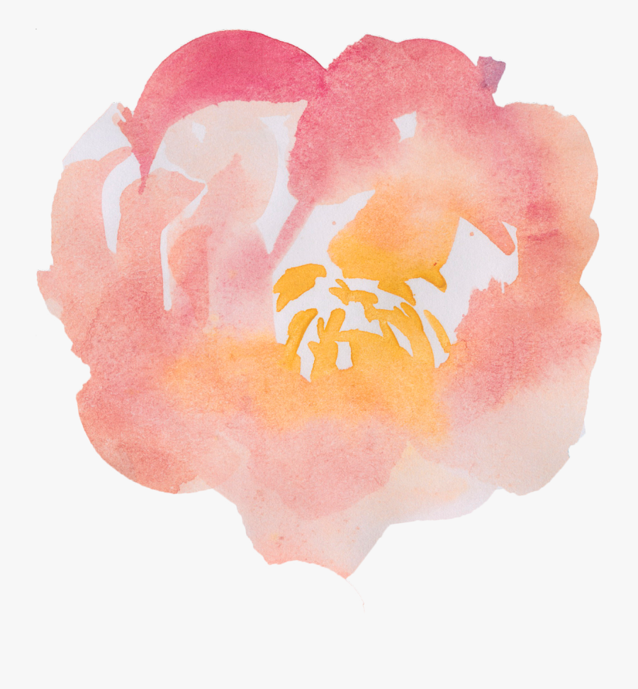 Tulip, Transparent Clipart