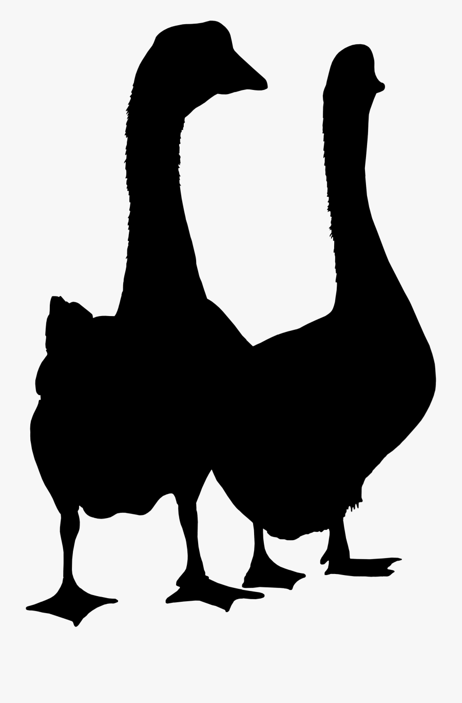 Duck Goose Clip Art Fauna Silhouette - Duck, Transparent Clipart