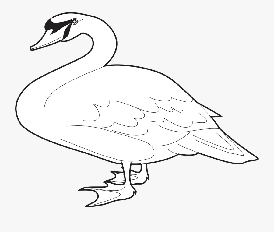 Transparent Goose Clipart Black And White - Long Neck Duck Outline, Transparent Clipart
