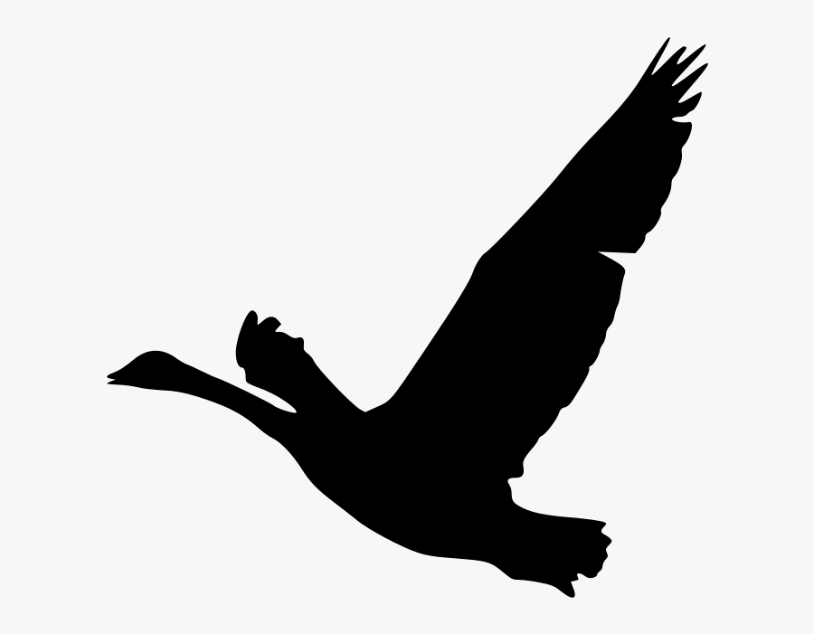 2008 07 25 Geese Over - Geese Silhouette Clip Art, Transparent Clipart