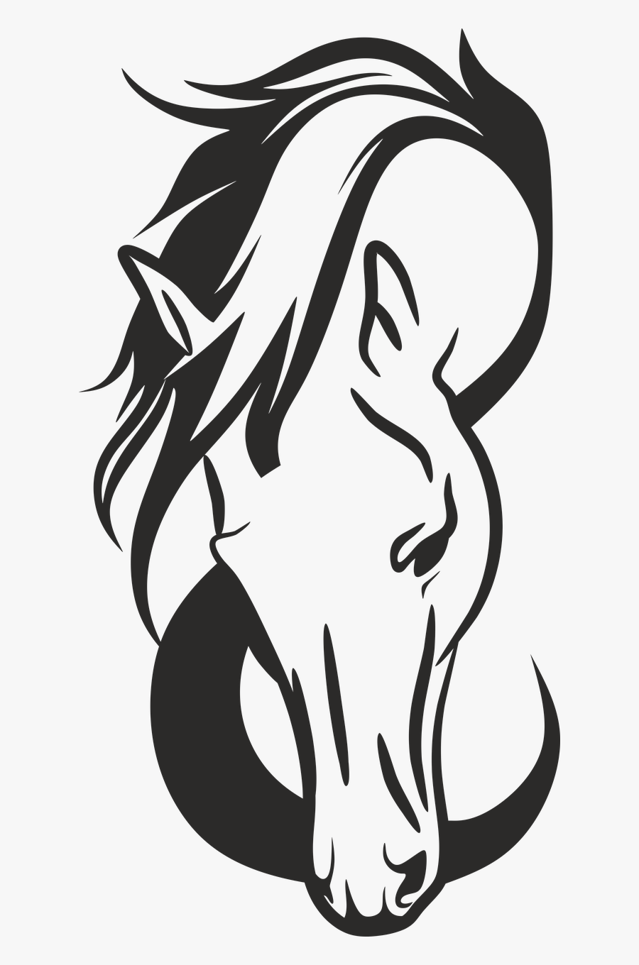 Outline Silhouette Horse Head, Transparent Clipart