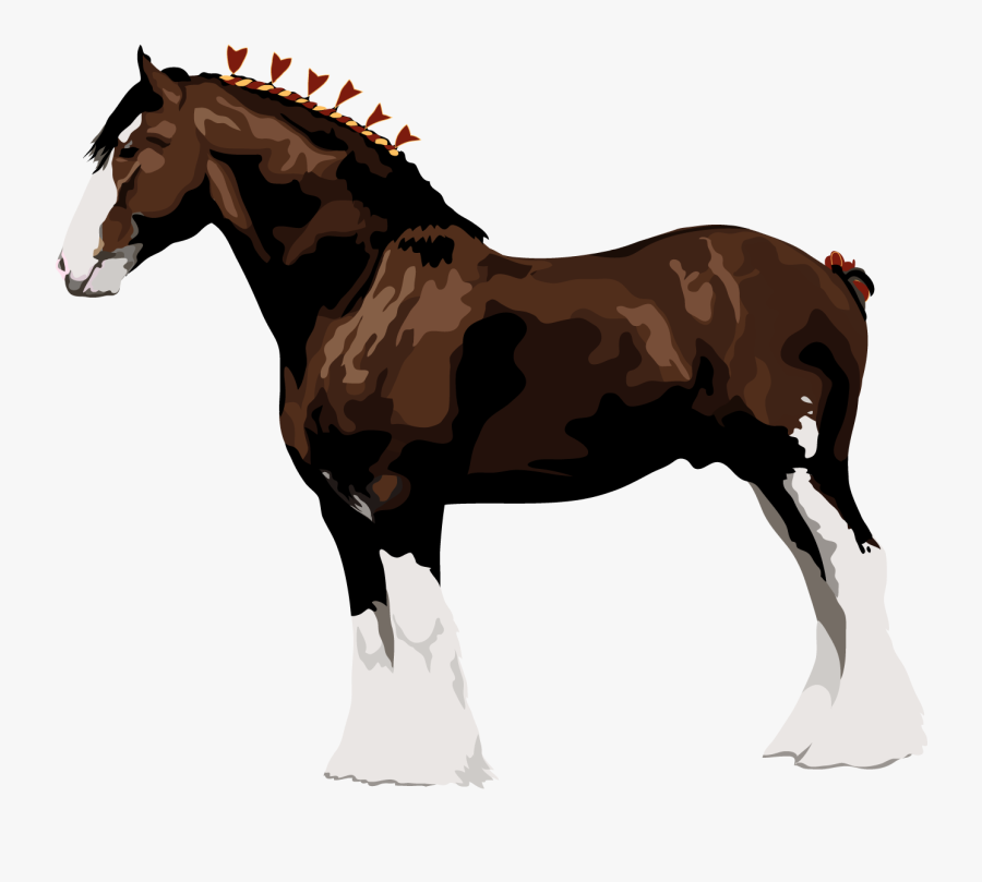 Clydesdale Horse The Percheron Italian Heavy Draft - Clydesdale Horses, Transparent Clipart