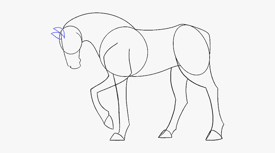 Clip Art Simple Horse Outline - Step By Step Drawings Of Horses, Transparent Clipart