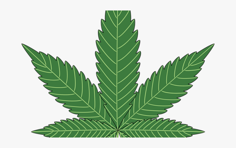 Medmen Overtime Violations - Marihuana Png, Transparent Clipart