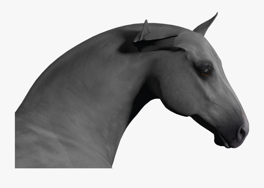 Stallion, Transparent Clipart