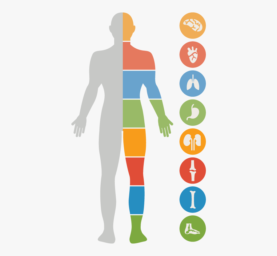 What Is For Life - 90 Essential Nutrients, Transparent Clipart