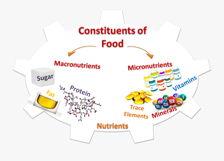 Constituent - Clipart - Event, Transparent Clipart