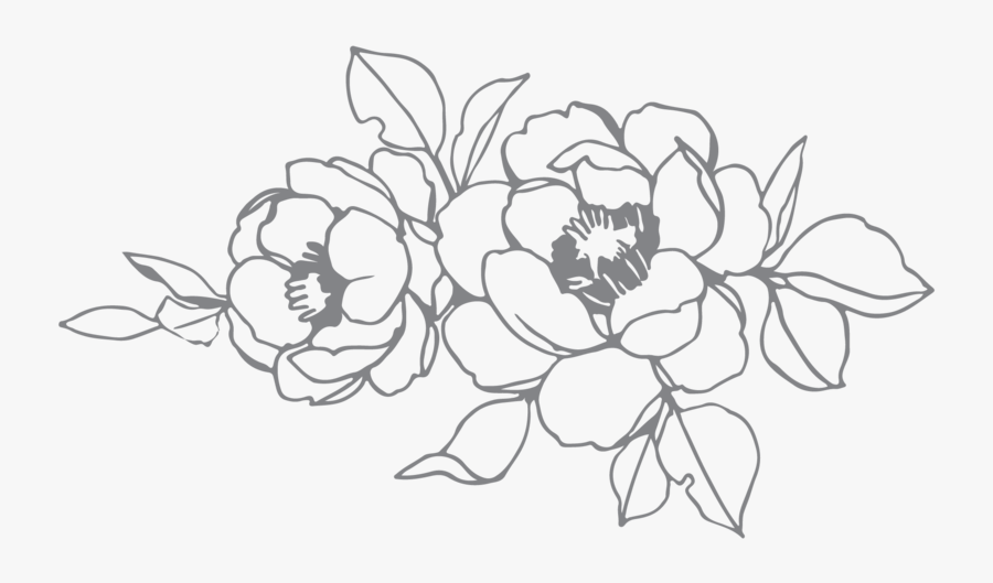 Transparent Confetti Clipart Black And White - Common Peony, Transparent Clipart