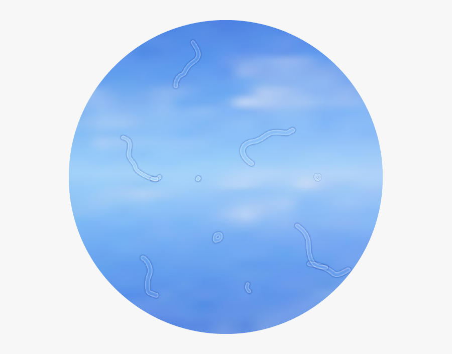 Floaters - Sea, Transparent Clipart