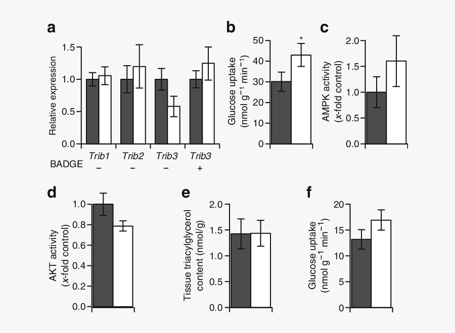 Graphic Black And White Stock Uptake And Trib Expression - Water Intake Urine Output, Transparent Clipart