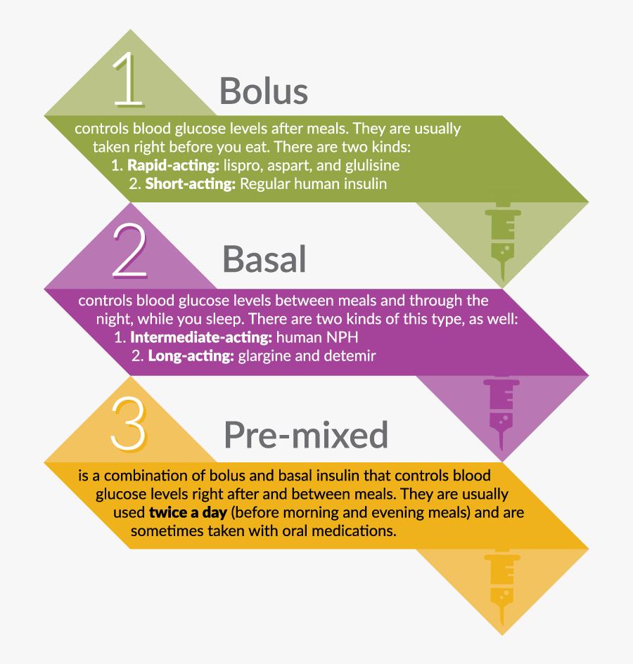 Types Of Insulin - Graphic Design, Transparent Clipart