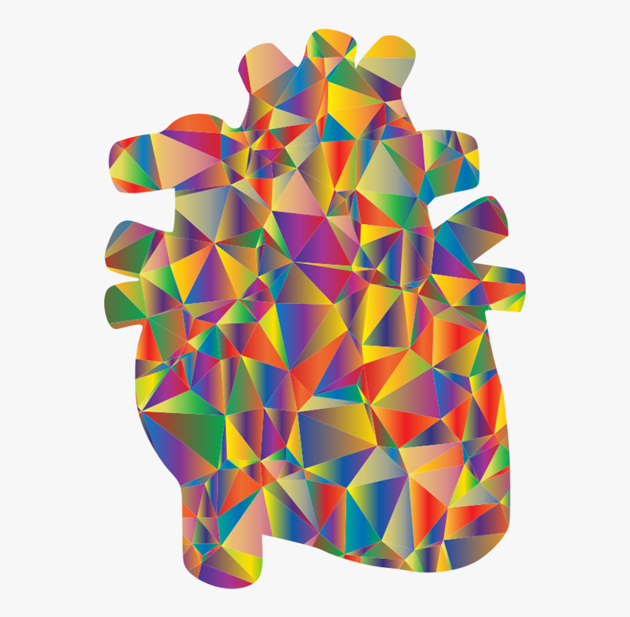 Anatomy Of The Heart Clipart - Clip Art, Transparent Clipart