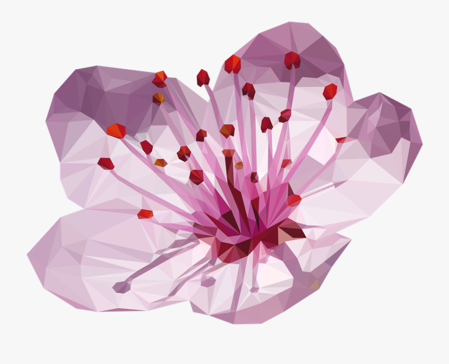 Cherry Blossom Flower Made Up Of 932 Triangles, Adobe - Flower Cherry Blossom Png, Transparent Clipart