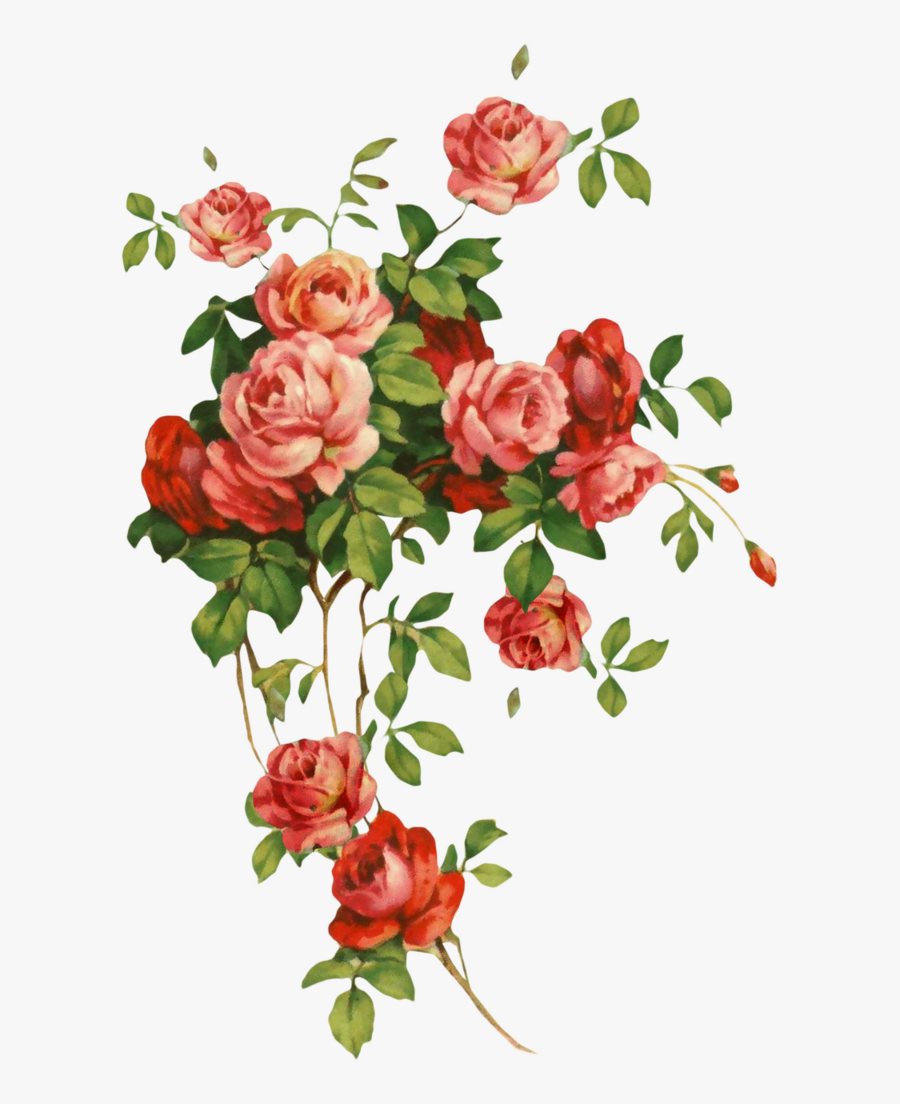 Transparent Shabby Chic Flowers Clipart - Flores Shabby Chic Png, Transparent Clipart