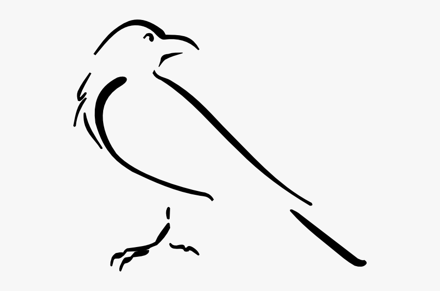 Crow Clipart Download - Crow Drawing Outline, Transparent Clipart