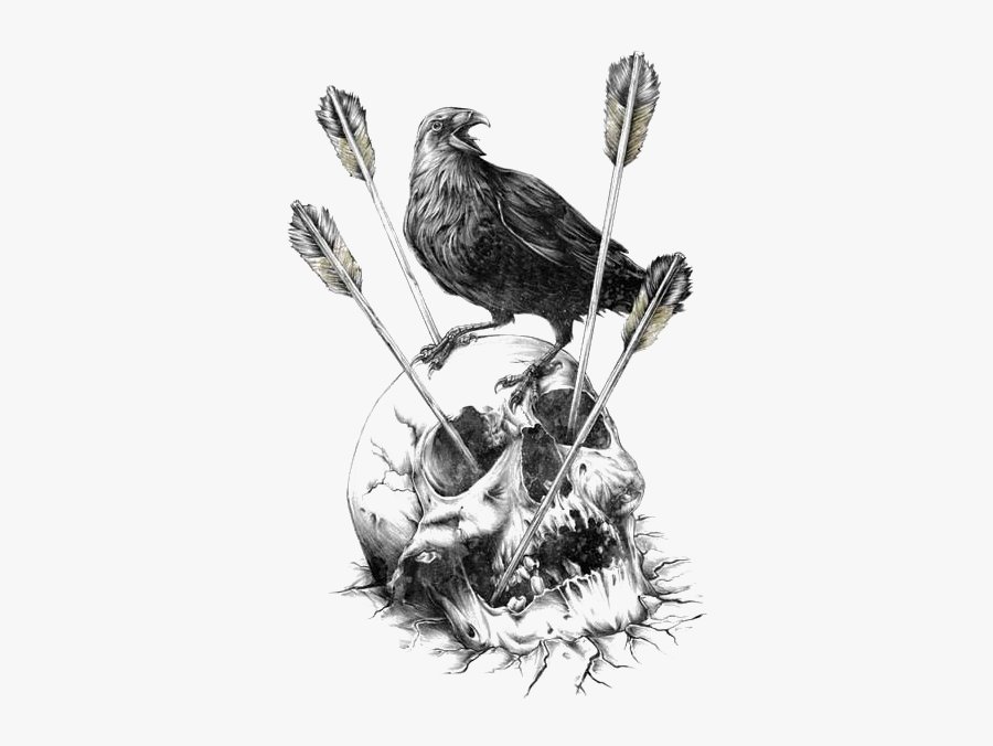 Skull Calavera Illustration Carlsberg Fjord Human Crow - Corvo Preto E Branco, Transparent Clipart
