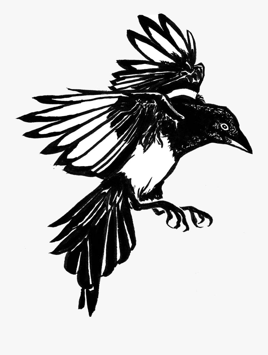 Transparent Feather Tattoo Png - Crow Png Tattoo, Transparent Clipart