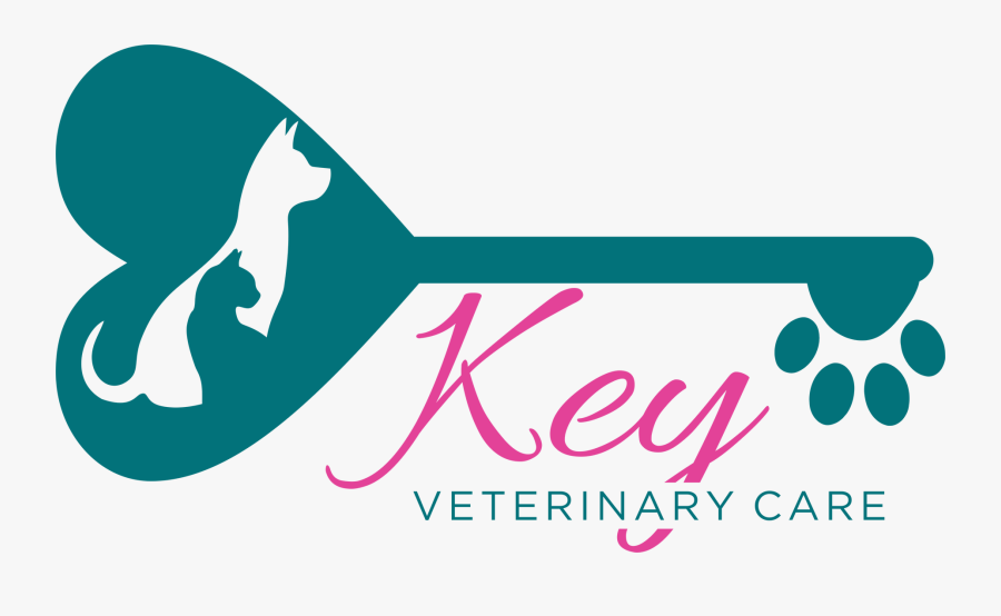 Saint John"s County - Graphic Design, Transparent Clipart