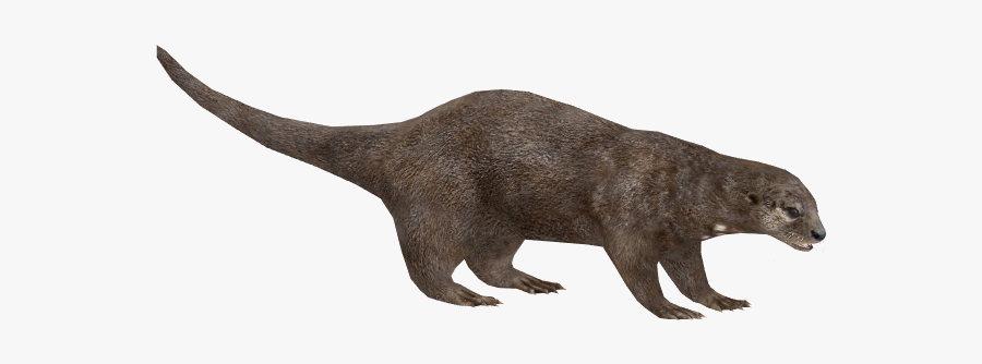 Otter Png Pic - Otter Zoo Tycoon 2, Transparent Clipart