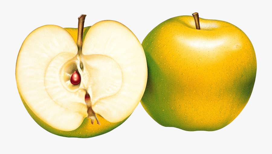 33 Green Png Apple Image Clipart Transparent Png Apple - نقاشی سیب با دانه, Transparent Clipart