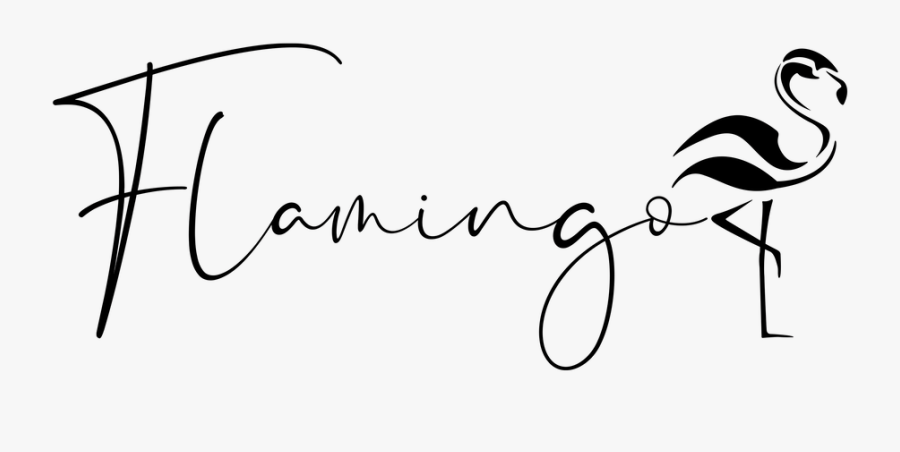 Flamingo Brand Logo - Logo, Transparent Clipart