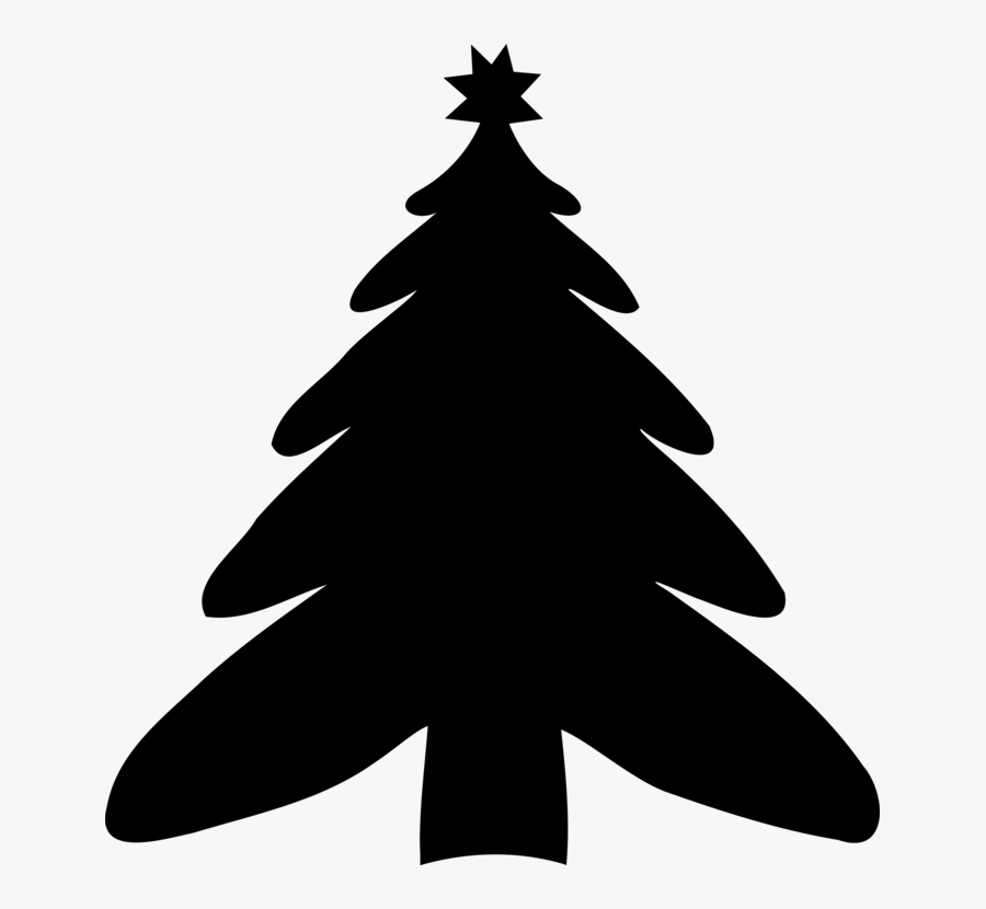 Evergreen,white Pine,colorado Spruce - Christmas Tree, Transparent Clipart