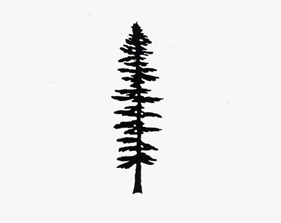 Oxtongue Craft Cabin & Gallery Sitka Spruce Fir Tree - Giant Redwood Tree Silhouette, Transparent Clipart