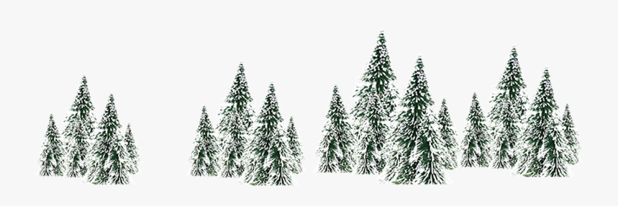 Winter Snow Spruce Tree - Pinewood Png, Transparent Clipart
