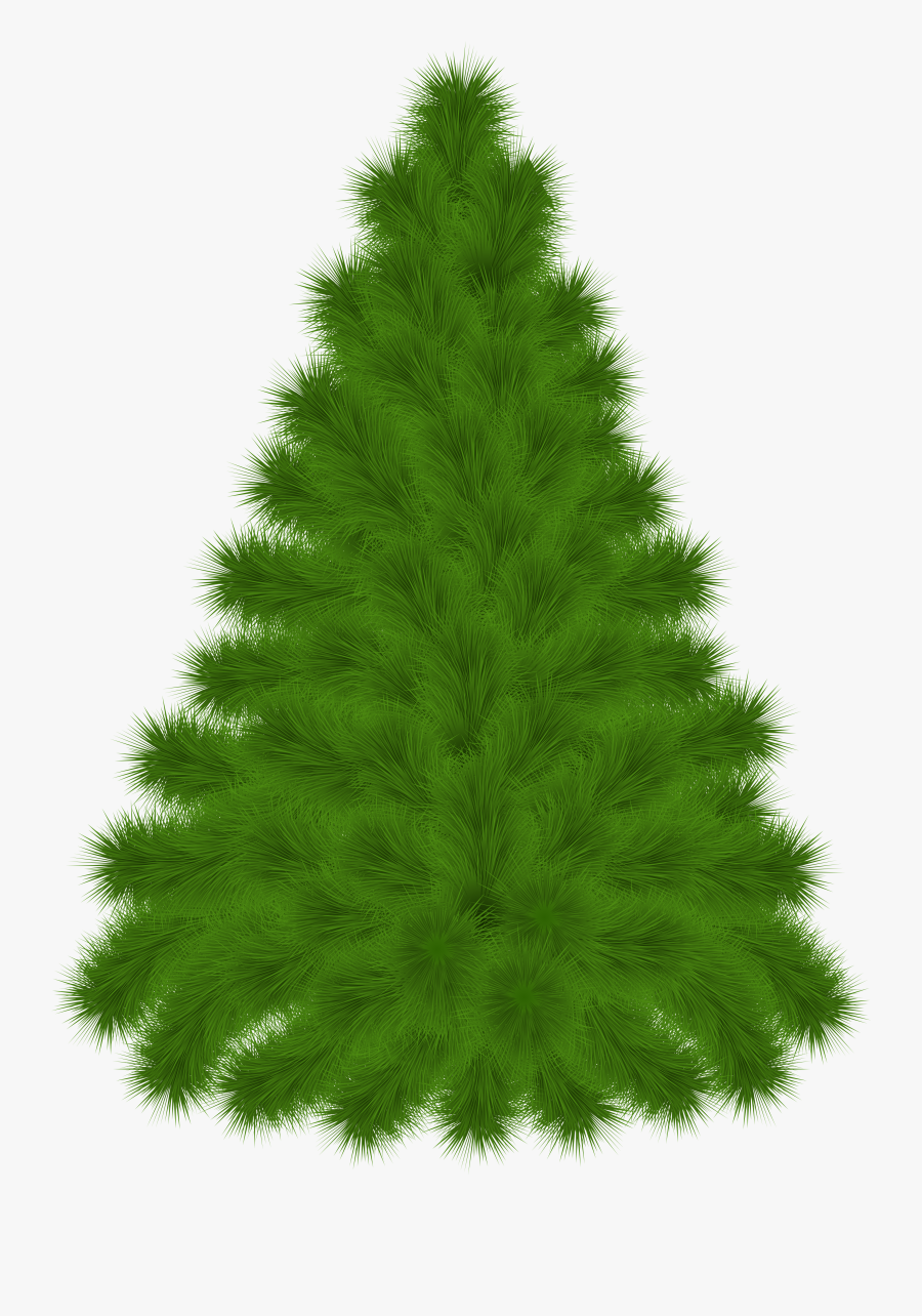 Pine Tree Clipart Png Transparent Png , Png Download - Fir Tree Clipart Png, Transparent Clipart