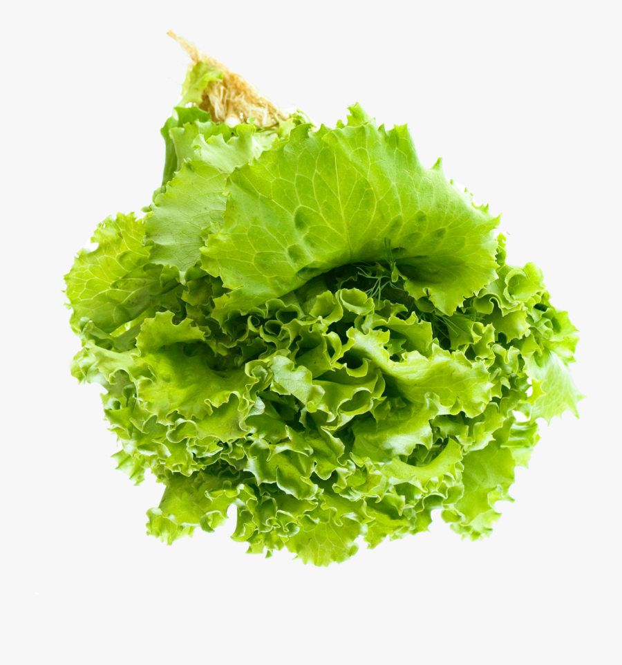 Salad Png Transparent Image - Transparent Background Lettuce Png, Transparent Clipart