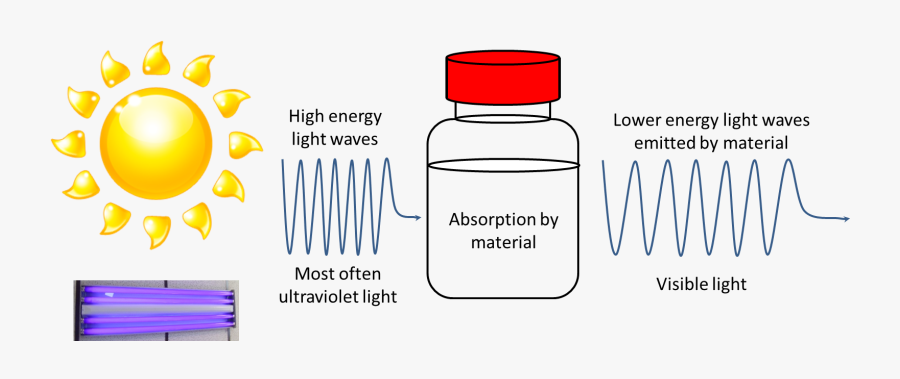 Fluorescence Diagram - Fun In The Sun, Transparent Clipart