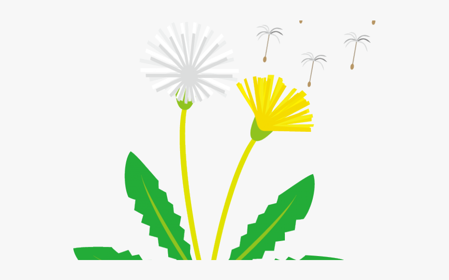 Dandelion Clip Art, Transparent Clipart