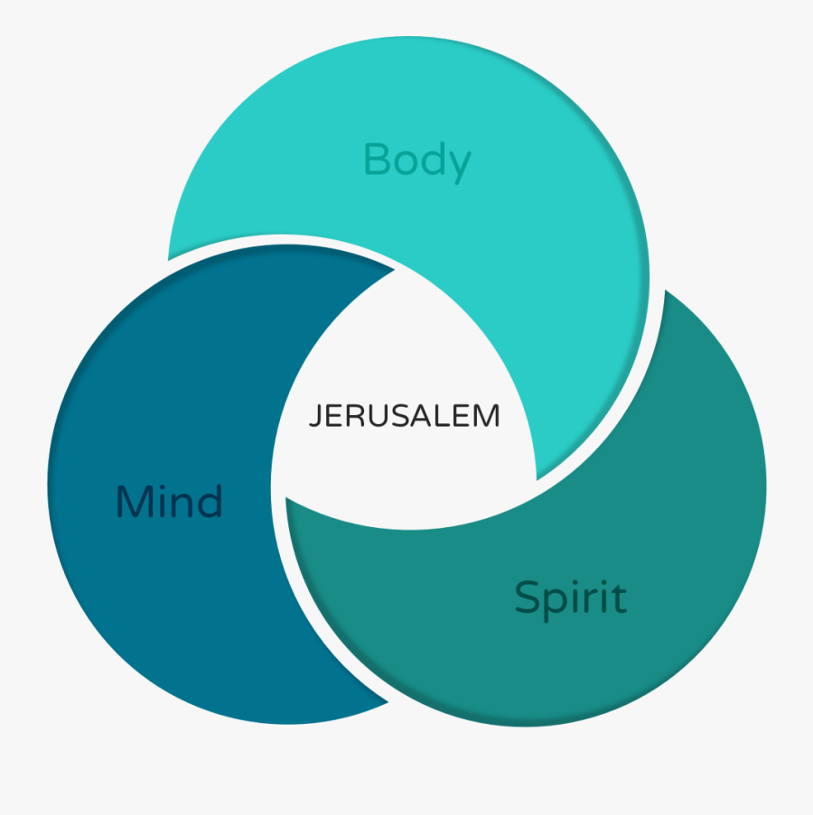 Jerusalem International Ymca - Circle, Transparent Clipart