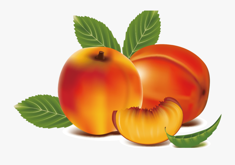 Peach Clipart Apricot Free Clipart On Dumielauxepicesnet - Hoa Qua Png, Transparent Clipart