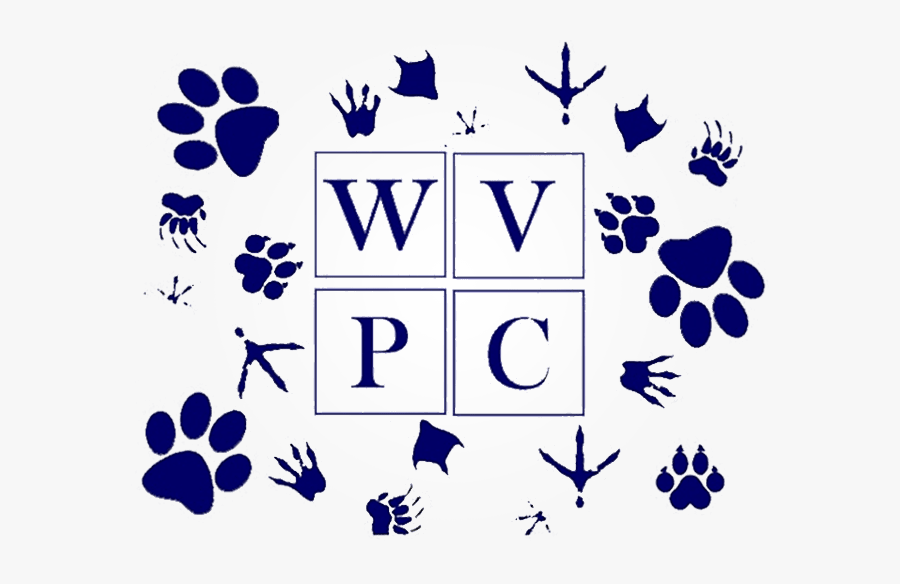 Santa Clara Valley Ca Pet Vaccinations In West San, Transparent Clipart