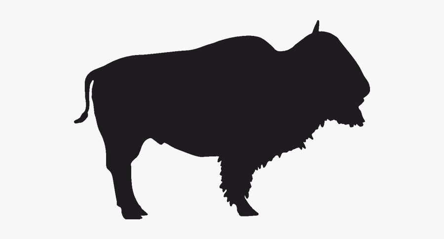 Creamery Brook Bison Buffalo Bills Jackson - Silhueta De Bufalo, Transparent Clipart