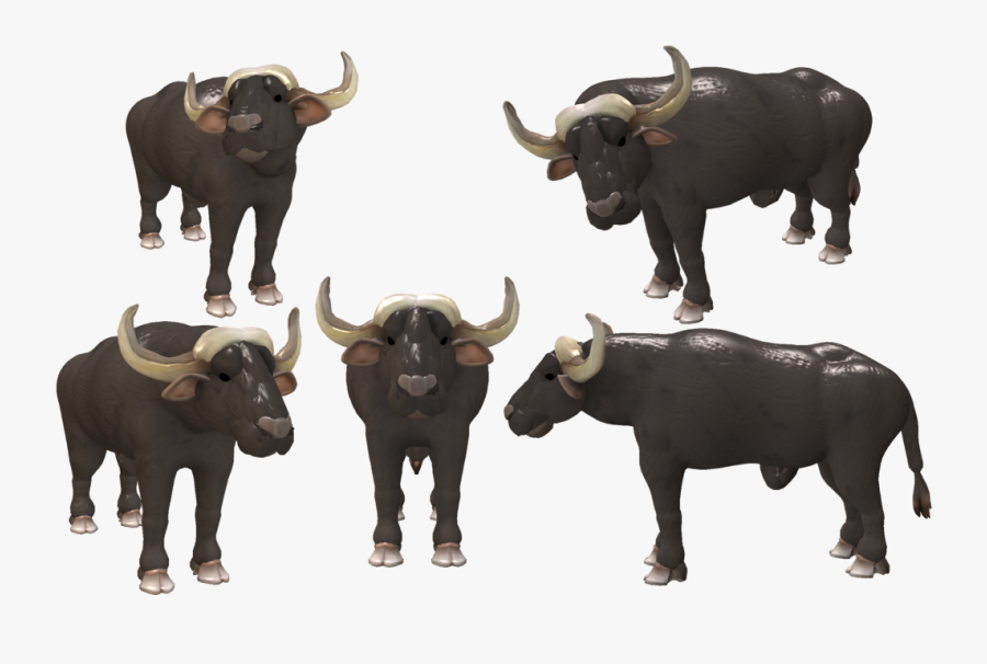 Cape Buffalo Transparent Background - African Buffalo Zoo Tycoon, Transparent Clipart