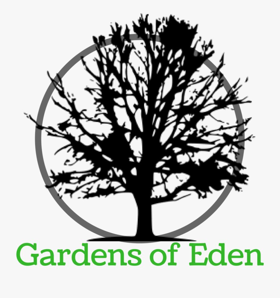 Creation Clipart Garden Eden - Navy Tree, Transparent Clipart