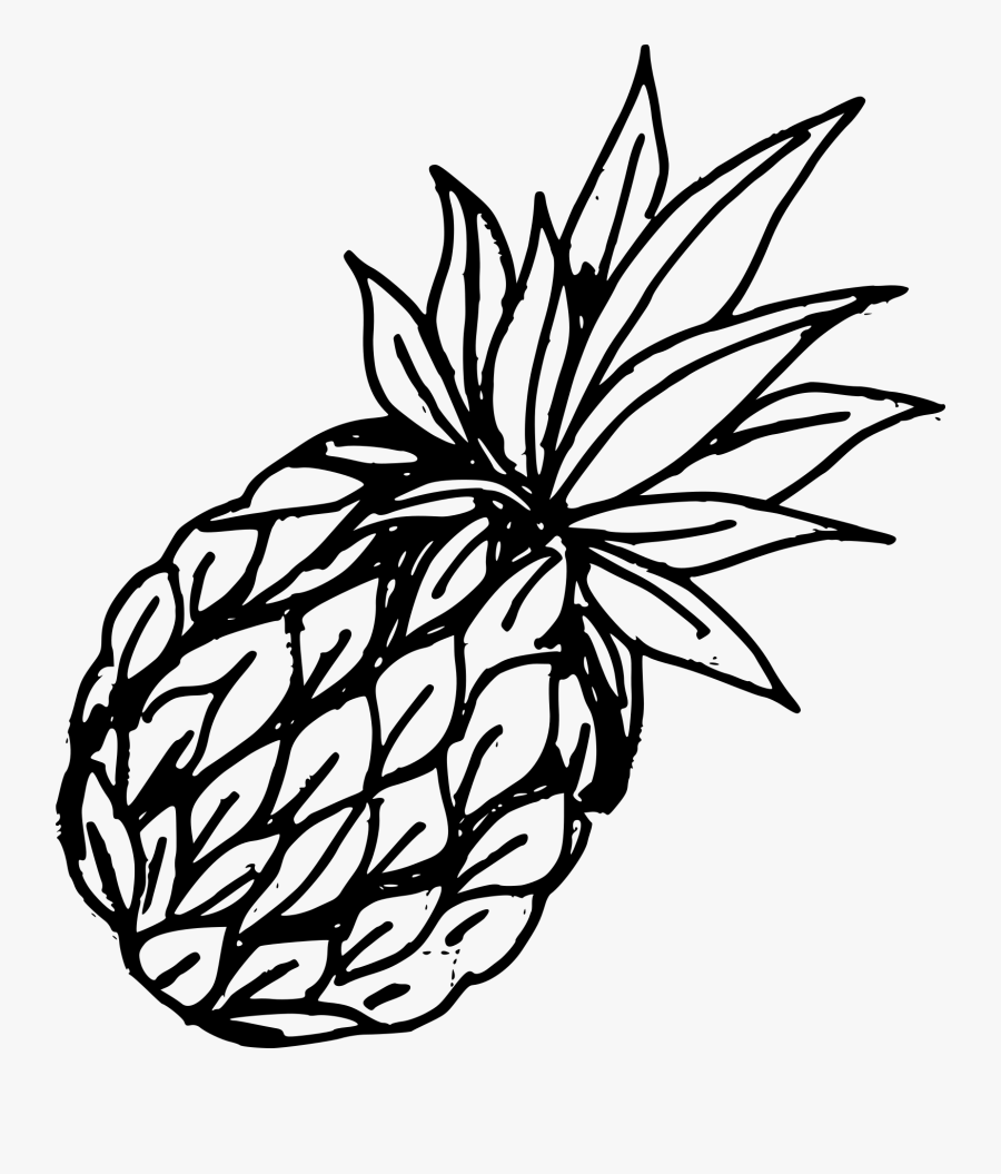 Garden Of Eden Drawing - Transparent Pineapple Logo Png, Transparent Clipart