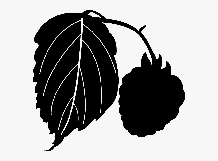 Raspberry Silhouette, Transparent Clipart
