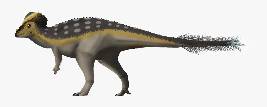 Pachycephalosaurus V5 Transparent - Pachycephalosaurus Png, Transparent Clipart
