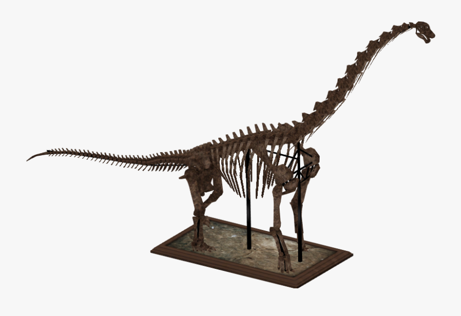 Brachiosaurus Skeleton Png, Transparent Clipart