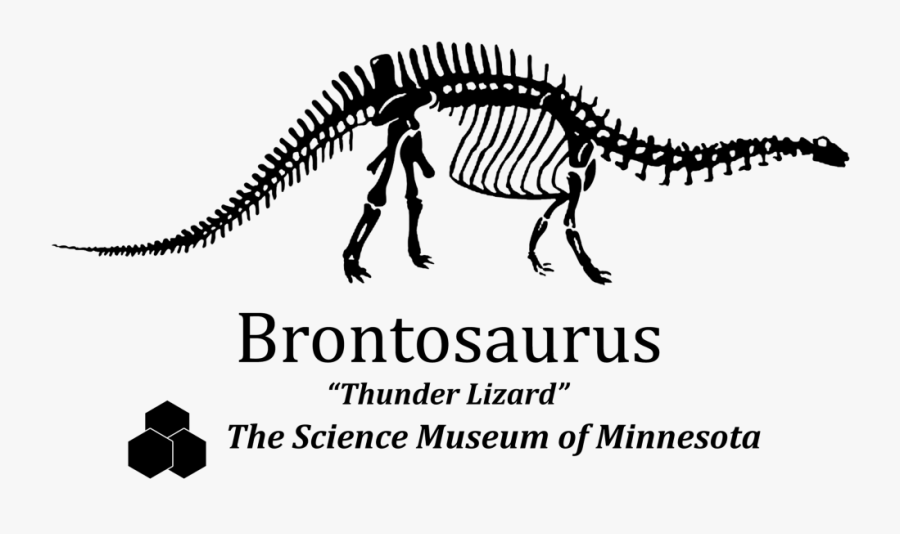 Brontosaurus Drawing Skeleton - Brontosaurus The Science Museum Of Minnesota, Transparent Clipart