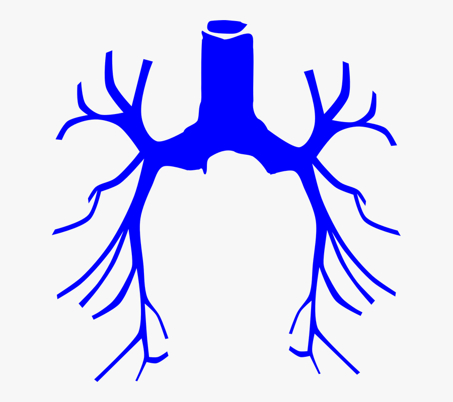 Lung With Cancer Clipart, Transparent Clipart