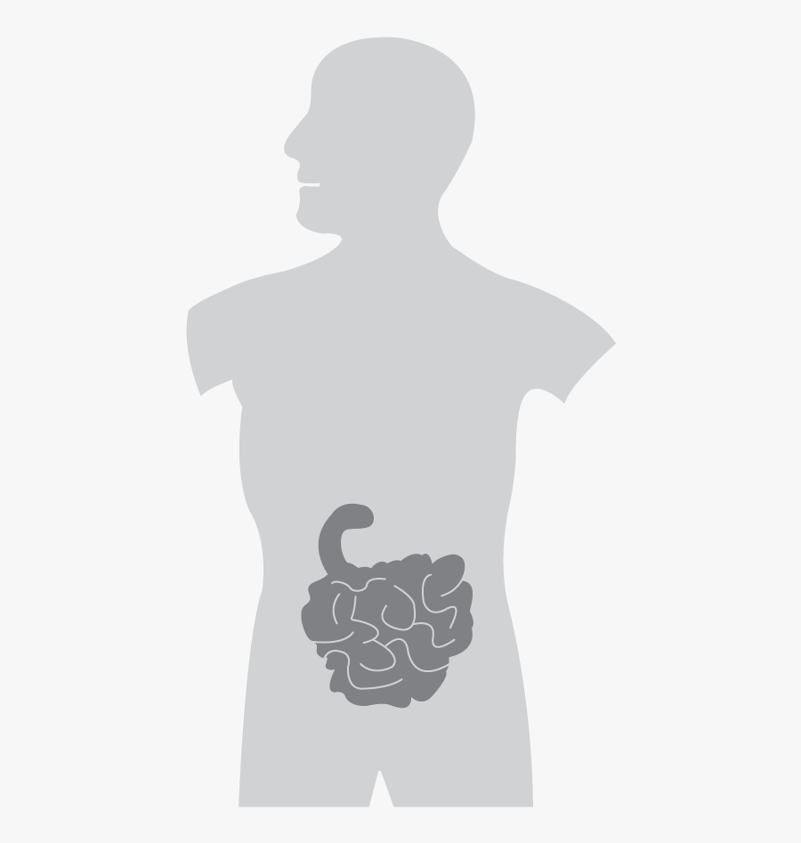 Silhouette, Transparent Clipart