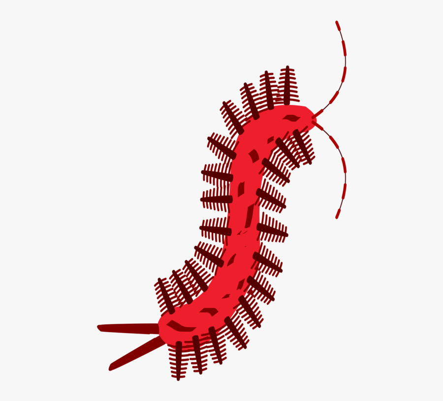 Area,line,red - Illustration, Transparent Clipart