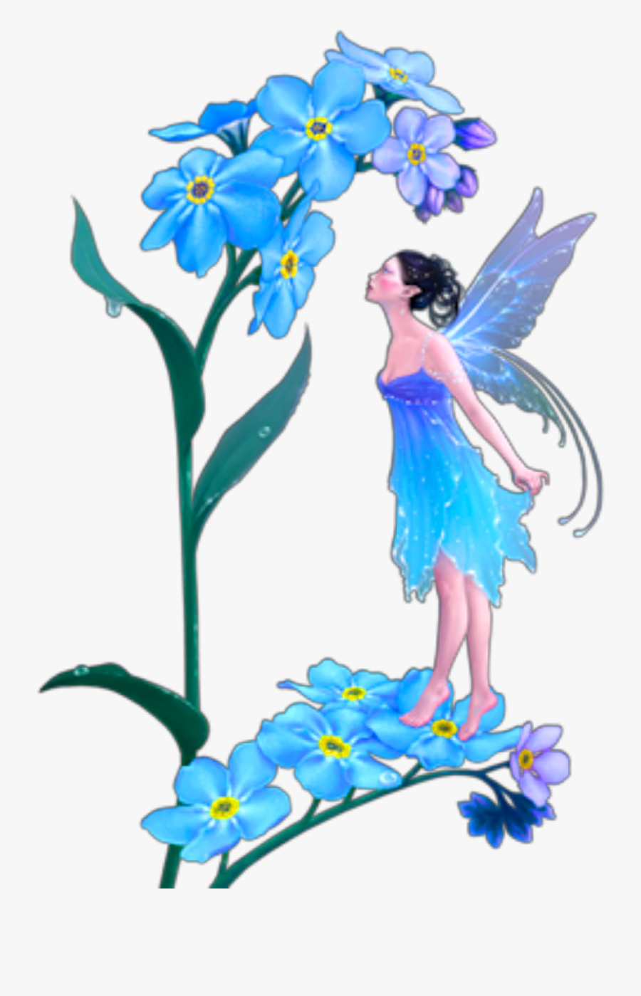Forget Me Not Fairy - Transparent Fairy Png, Transparent Clipart