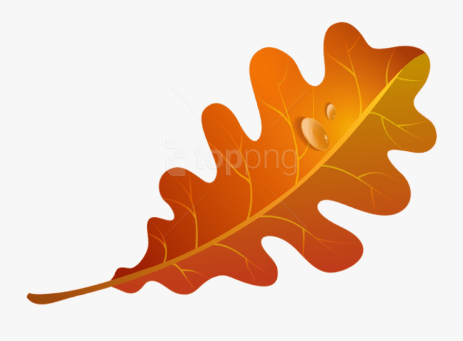 Leaf Clip Art Png - Orange Fall Leaves Clip Art, Transparent Clipart