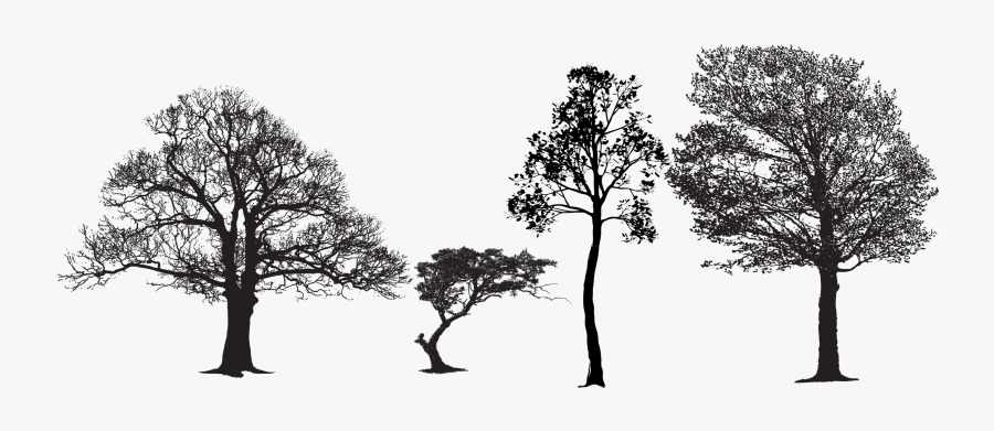 Tree Euclidean Vector Silhouette Vector Packs - Blues Music Poster, Transparent Clipart