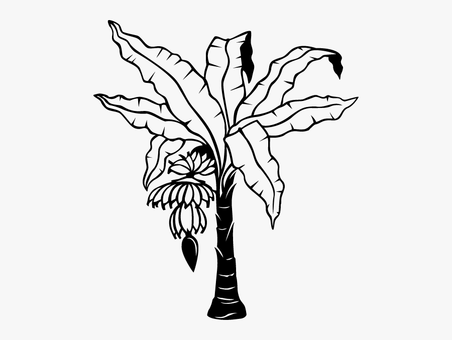 Free Coloring Pages Of Banana Plant - Sketch Of Banana Tree, Transparent Clipart